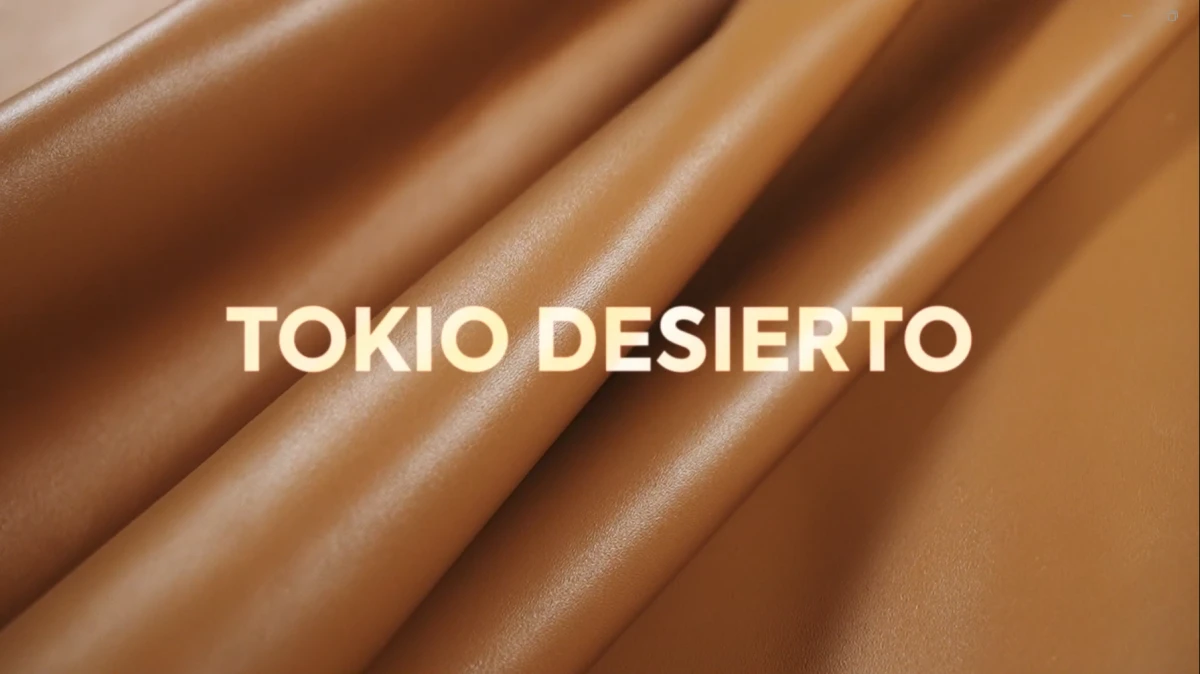 TOKIO DESIERTO